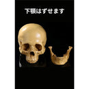 000000000680000000003f007f807f802d802f811e320c3e00000000000000002b2b2b2b472b4700ab1a1a6b92321733