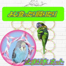 ffffff3f8000800080008000ff9fffc7ddcbbbcfdb6ff2eff26bbcfbab7fd40800002200003a3a3800a1291ce093edf2