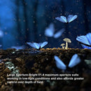 e000f500fd00e91ce800e040f0e0e00bfb110708802408343010190010000000