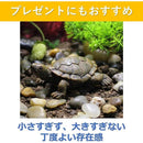 000029060000e003e003e403e883e1e3e003e10be003ec53f03fe463fffff8af20202020000e0e4000001a1e00222b17