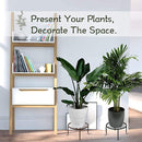 fffffffff7f7fffffdffc1ffddf3ccb1c703ff80fce0bfb39f3bfdf93d320eb6