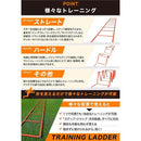 00000a28ffffffff89feffff01fff9bf00fdfffbffff0000003603f3026f07ff040400041f1a2b0017171ed53f3f1515