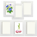 ffffc7c3d43fc1fdc5ddd5ddddddc1c1fc1fcc21bdcfb94fb94fb98fb9cf800000000000009f2b2b00000000002b352b