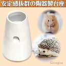 00000000ffe3e3c3c3c3bfc1bfe1bfe3ffe7ffe7ff83ff81ff81ff83ff87ffff