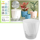 fffff100d800d804f800b386fb82fb82fa1efffffff9fff1fff1fff3ffe1ffe1000000000080303000003d0000000000