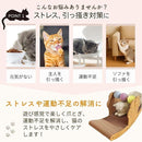 ffffeacf8fa7f8e0e4f0c082e280f8a0fffffffdfffffff8fd78e778ffe1f7f10707070707100714070907001a1a193d