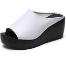 ffffffffffffffffffffff83ffe2fff0ffc0cf8086018001801fc07fffffffff000000000000000000ababab0000abb2