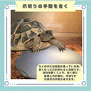 ffffb80edffdc0c1c0c1c001d001c001c001c0e9c0fdc0f9c1ffc1fbff1bffffc0939393821b15158219161082ab2b2b