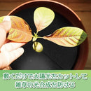 0180000021c073c0f9c0fd1efc3efe7cf31cf900f000e000c000afffbcffe5f3100f100d1d1a23fb140b00230f00ab00