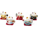 fffffffffffffffffffffffffebe8ebc83188e38e1c7e1e3e3e3ffffffffffff00000000000000000000140000fc008e