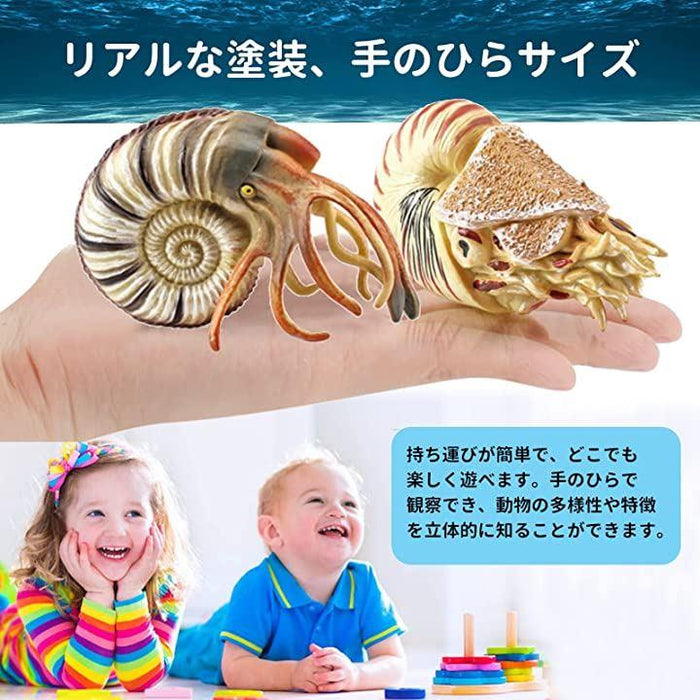 オウム貝 セール サンバイザー