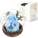 ffffffffffcdfffefffeffffe76feadfc07ce0f9f17fd83fc03fc03fe03ff0ff000000000000333300953d2200958e00