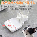 01ff4a835f7fc0d2c3820fbb07ff0fff0bfb1ff33fe30fd38fcac720e0b068f14b472b24b2002b00000032b0ab9cc79c