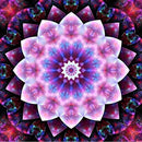 0000000007e00ff01ff83ffc1c3c3dbc3dbc1e783ffc1ff80ff005a000000000