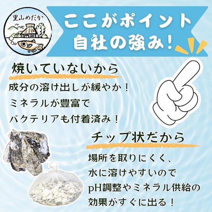 fffff0209901bb69f000bffdbfffffffb3f7dbff9fffce00ae3feef7f5e6ff7b8e8b8e8a8f8d8d8d8b508b00848e4593