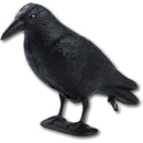 fffffffff3fff1ffe07fd03ff00ff80ff807fc01fe01ff11ffdffc3fff0fffff0000000000a2000000009c9700000000