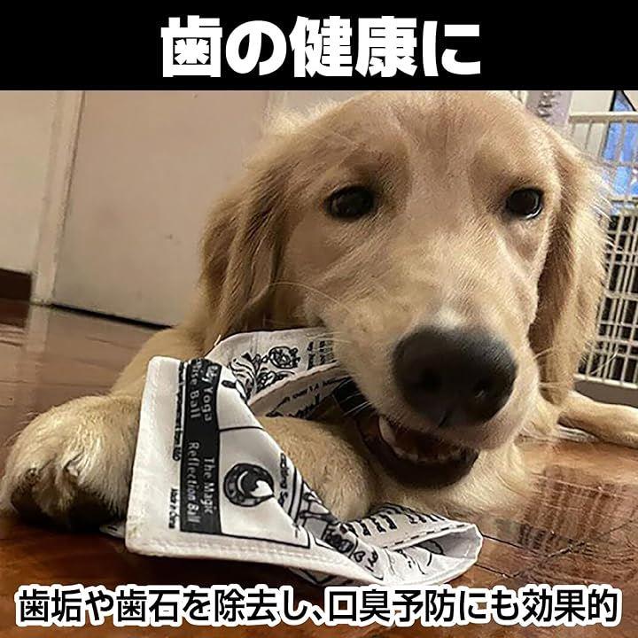 000003e00000ffffff9ffe1bfe7d7cfd6c7d9e86ba067b862b8d0b2c03f0257c0000000017151313101a18161620161a