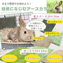 ffffd1f084bcfff07bff02ef01b101f3026303fc8291bf84e22763fb000020020000003e5ede00d55b15155cebde611a