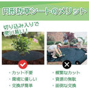 0000000036420000ffffbfffe083809880f3808080808081f7f7ffeff1fbf3ef4f4f4f520000000000383208000000f5