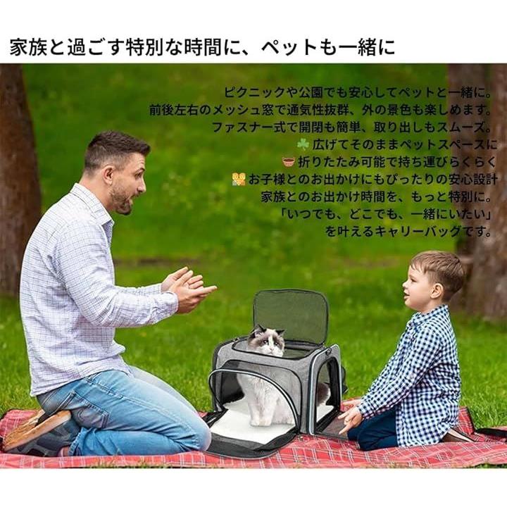 ffff9df700000000000018003000700072047c04700678e45cde0bc5ffffffff00000000120e353b12323a37328d099b