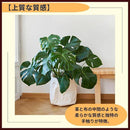 000069ff7fff7fff7fff783f7c0f7a076427700f41677f7f61c9427f47c37fef01010101012b003301724a4201151218