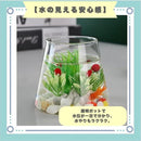 ffffb186dffdc001c401c541c341c651c401c429c421c001c371c1bfc1ffffffb393939382b3a26e82ab4b2b82042822