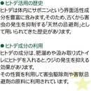 ffffffffffffbef4ebbfdf37a2a7ffffffffffffba55ecfdfbffd984d3ffffff0000000000eb15d500d5000000800000