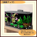 00004dff7fff7fff7fff7f1f6101620362036003600360817c016fff60717fe701010101010f0f1201000049011504f5