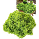 fffffffffe08ff01ff06ff00f001f003e001c000c00080208003f80bffdfffff000000000000393b003a3c37003a393a