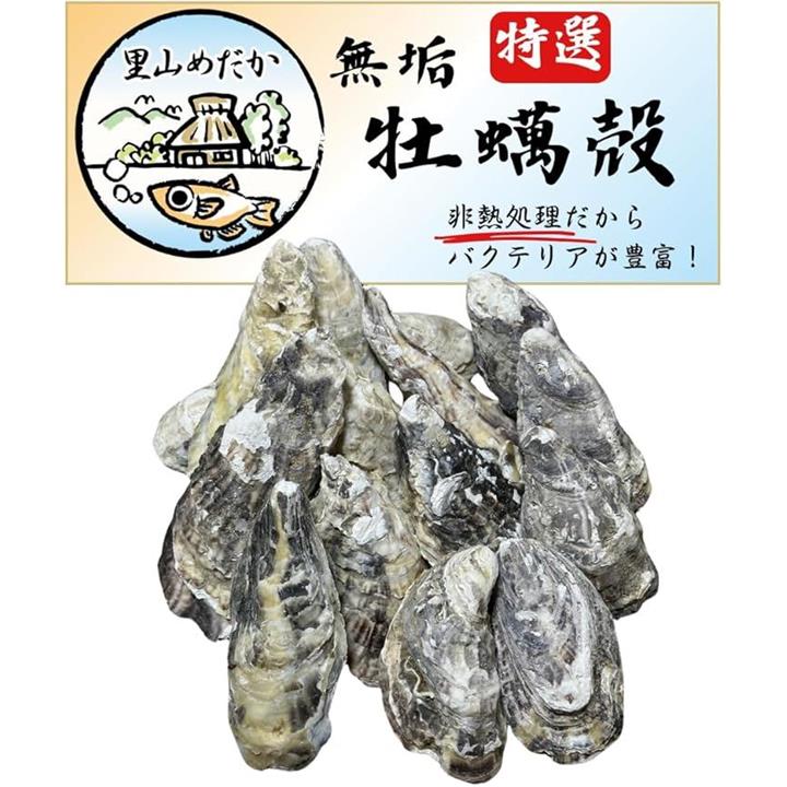 fffffec7f7ffeb43efffebbff8fffc1ff8c7f807f103f10ff043f807f907f91700d5d52b0019929000752b75009c211a