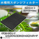 ffff724200001bafc1bff83ff00f800e001f006f0008008f00e0ffffa1fff34e90908f90252e3ceb480000693c3b363f