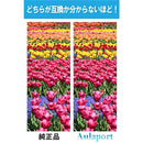 fffffffeffffffff8181818181818181818180018101c1e592b38101a3a3ffff