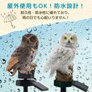 ffffc1cbfb9fb55fffdffffffbf7b1e3f1f3e1cfc1d7c3a7c185f38760c7f0801f2b271c1c21228c8bf88632860e2418