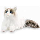 ffffffffffffffffc1ffc1ffc9ffc1ffc1ffc1c381c0e7c0843d83ffffffffff00000000001500000024120000240000