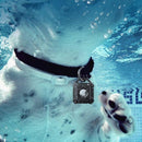 00000000801008013ef8fff94ffa63d8f818df9fcf9fc79711fb2df9ffc9bf4d