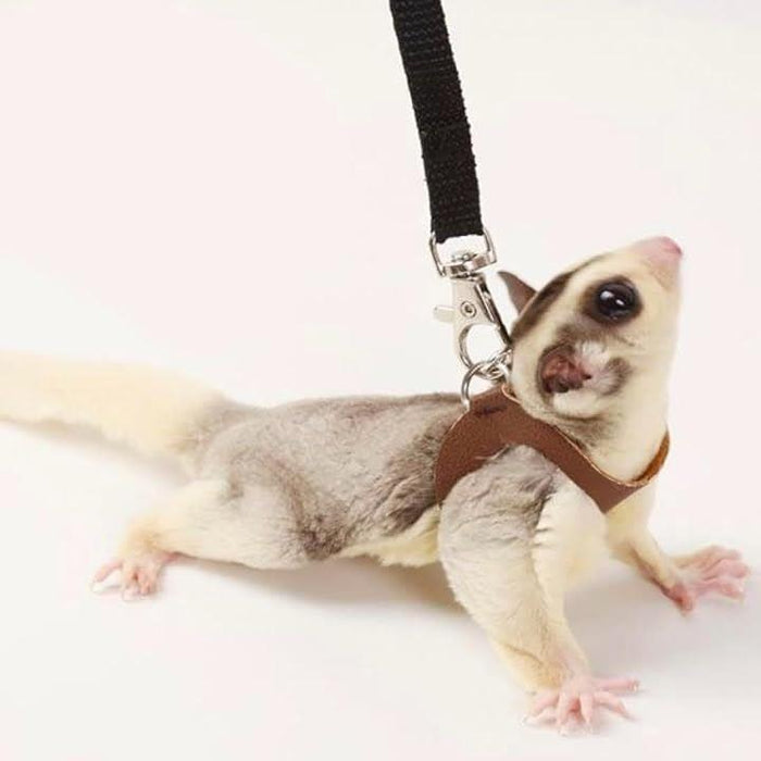 おでかけ用 モモンガ ハーネス 3サイズ リード フクロモモンガ 小動物