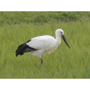 65840000400191ffbbed8bea07eb1bfcc7f041eb07e6801500a44400401009002d3232332e2f343230223c3532302f32