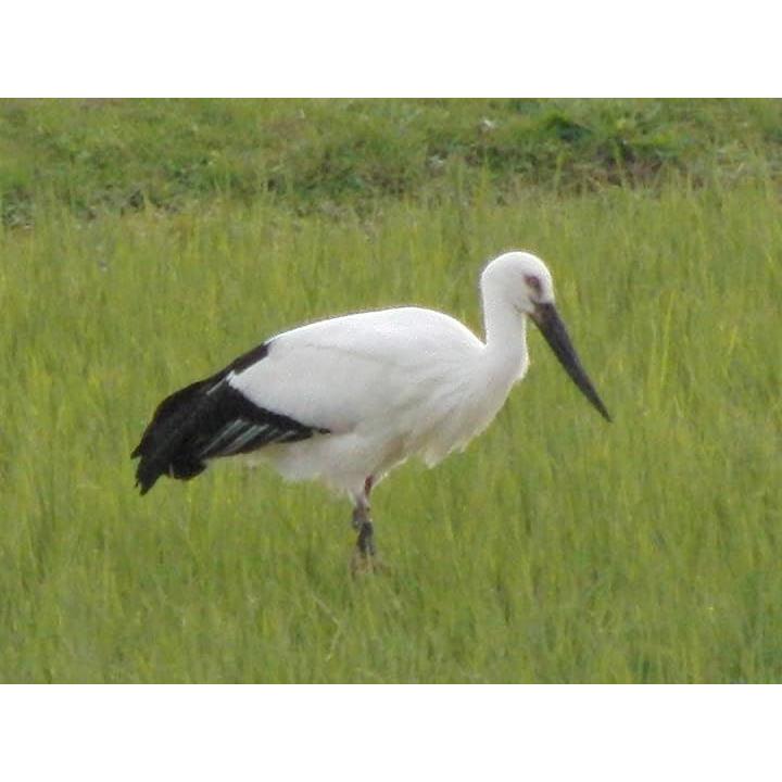 65840000400191ffbbed8bea07eb1bfcc7f041eb07e6801500a44400401009002d3232332e2f343230223c3532302f32