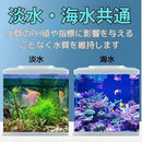 ffc09e46dd5affc0ff00ff48ff00f700ff7f80009000990880318053a0d4ffff9191909192928b91938e918e9244929b