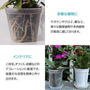 c2ffa0ff80ffc0ffc1ffc1ffe1ffe0ffff80ff00ff00ff00ff00eb01ff01ff03f50fd500deb9d500d52b9c3a00005567