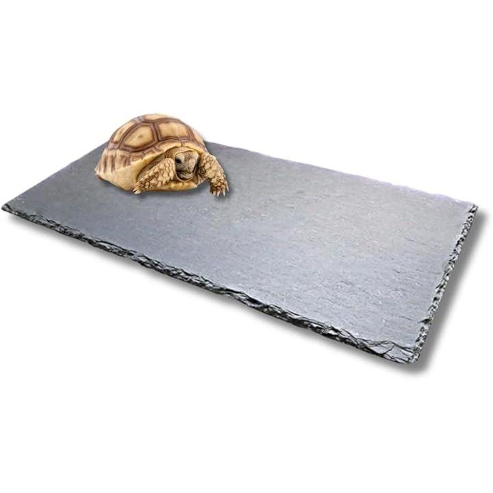 fffffffffffffffffffff1ffe03f8003c001f001fe03ff83fff3ffffffffffff0000000000000000009ca0a400000000