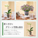 ffffe1f0f1e1b2b3b1c0b160ec02a010c000ffffdfe0ffe4ffeaffeaffeaffe06969696969270b31690c0e1069000017