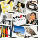 1ff3f7727f003e577d784f3e7ffa4e525fb695e0d7f0e64fc4174c9b0af903ff20220025203024c719a2001147a4951c