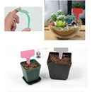 ffffffc0ff40d7c0ab809b00ff00ff00ffffffc7f287f187f087f007f8ffffff0000000000899e4e00000000004500ab