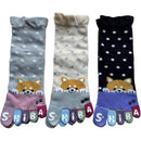 ffffffffea21e221e361e3a1eee1e2a1e221e721ff61c201c021f03dddffffff0000000000971aab009524b000eabab7