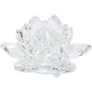 fffffffffffffffffc1ff80ff89fc803e203f80ff417ff1fffffffffffffffff000000000000a20000a29ca200000000