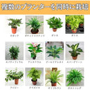 0000641c0000fff1c881edd1fffffffffe838c898ddbe5bfe8dfc4998d91bcd11a1a1a1a0035003a002beb46002b122b