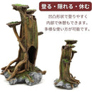 ffffffffe2baf1fff9ffc9ffe1fff1fff1f7f1e7f1e7e1efc0efc0efe4c3ffc700000000000000640019001500150000