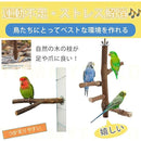 00006406440920aa00008ff78ff3bfd1ffd3efd7efd7ece5e7f3fff7f3f98feb2525252525272727002b2b1300100012