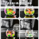 c8a4acf0b290fffff2e6aeb4889c808284d0f4e4f0d891f09088c6fe8acc80dc00a2eb2b000c00100000000000000000